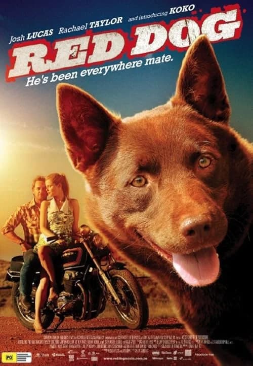 Red Dog film posteri